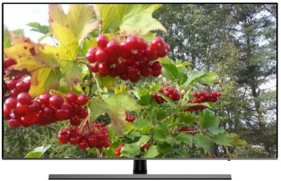Обзор телевизора Samsung (Самсунг) UE49NU8070U