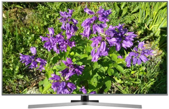 Обзор телевизора Samsung (Самсунг) UE55NU7442U
