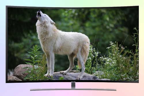 Обзор телевизора QLED Samsung (Самсунг) QE65Q8CNA
