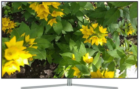 Обзор телевизора Samsung (Самсунг) QE65Q7FGM