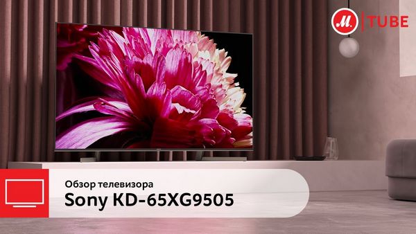 Обзор телевизора Sony (Сони) KD-65XG9505