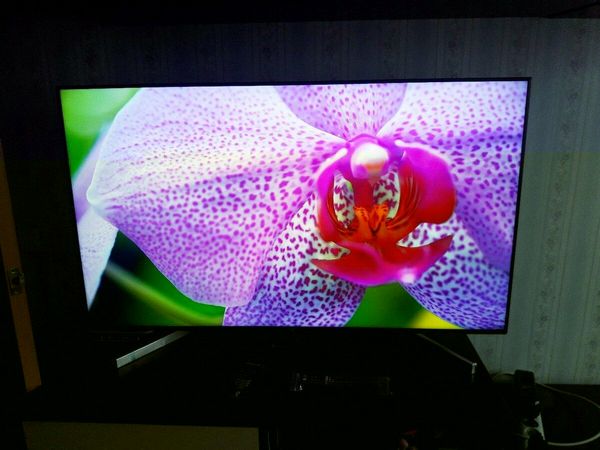 Обзор телевизора Sony (Сони) KD-55XG8596
